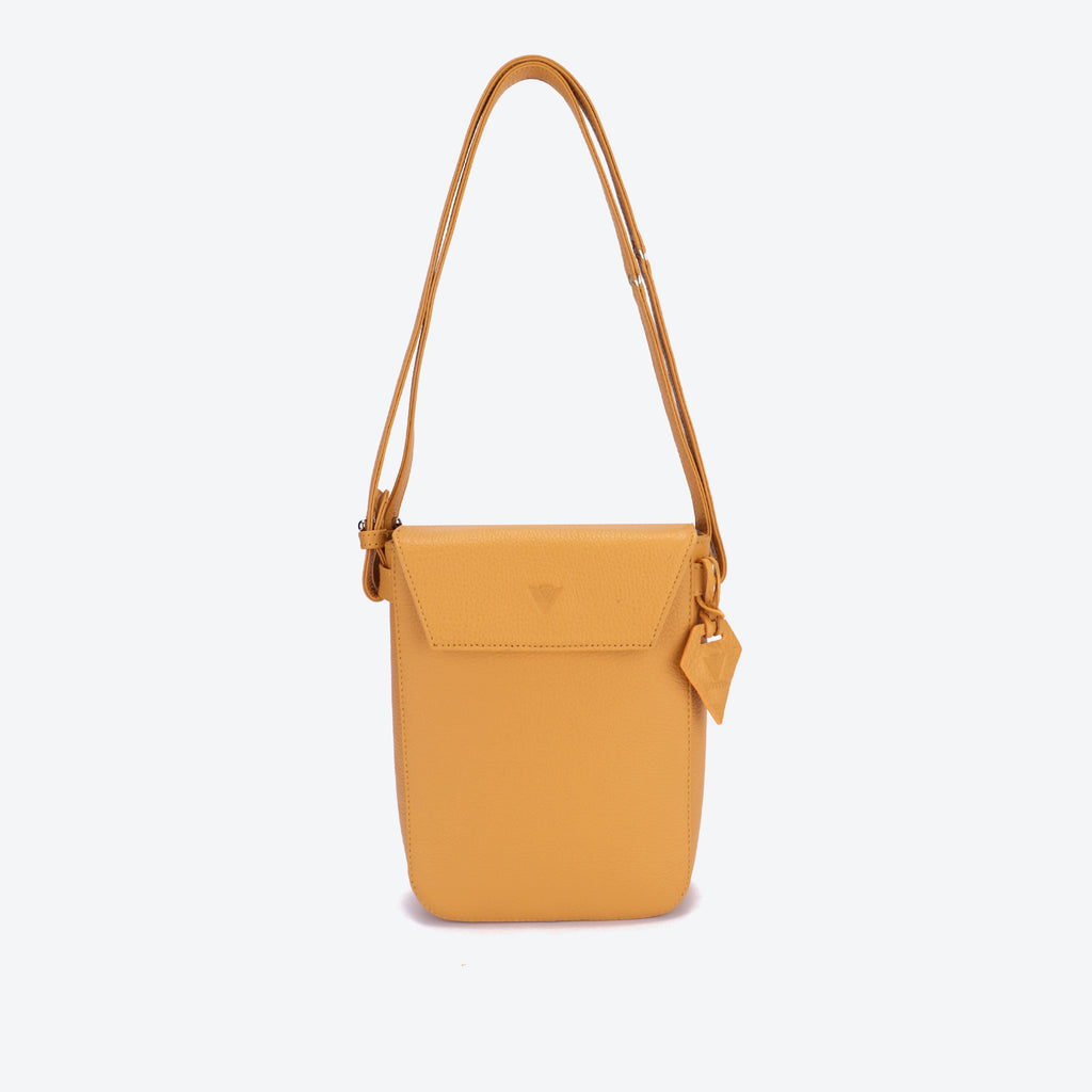 BASIC ECO N1